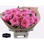 product/img.floraplaza.nl/121052-50-LIVE_fotos-0xD4BE47650CAD0ED65A22B11AE1F9B18FE1D9A9C2.jpg