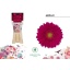 product/img.floraplaza.nl/121362-50-LIVE_fotos-0x0C4F6F404BF30FB45A9AFE7A6A0011DBC9B7E42C.jpg