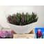 product/img.floraplaza.nl/121628-LIVE_fotos-0x7C82B0DB2309A53DFE70D72725E49C17488A14F4.jpg