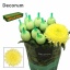 product/img.floraplaza.nl/121647-100-LIVE_fotos-0xCDB2438D2CF8888BF6367B0E9AA9FB14D23EBEF8.jpg