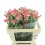 product/img.floraplaza.nl/121651-55-LIVE_fotos-0xCF33B1A9CFDB686CE7F0705A311EB8EA5D20CA67.jpg