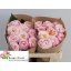 product/img.floraplaza.nl/121988-50-LIVE_fotos-0x5A65B7A6B4D490AE88C1B7F2949D43962AA417B2.jpg