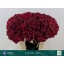 product/img.floraplaza.nl/122179-60-LIVE_fotos-0x315D15D4674FCB15ACC5BCF83DE59A459FB7E1E3.jpg