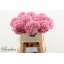 product/img.floraplaza.nl/122312-80-LIVE_fotos-0x34D7EA8BF6318C9F7BFC59605E1C0349354DA02F.jpg