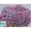 product/img.floraplaza.nl/122312-80-LIVE_fotos-0x76CE62B144D2F7A316CEE17B8375F870043A89A9.jpg