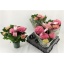 product/img.floraplaza.nl/122643-14-LIVE_fotos-0x8F1C17ADC04E8BF2B5ED34B6D024A6A2CF3EBD9D.jpg
