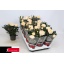 product/img.floraplaza.nl/122766-510-LIVE_fotos-0x2CADFA342D94170792A4655F27EEAE52F5A8D860.jpg