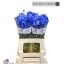 product/img.floraplaza.nl/122818-60-LIVE_fotos-0x71E3AE76F3899EEFE5396A06AD28FAC79FFBDFCB.jpg