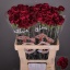 product/img.floraplaza.nl/123197-LIVE_fotos-0xFF2EA8325BCC14E638BDA9089DE7CD890380EE6A.jpg