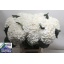 product/img.floraplaza.nl/123465-60-LIVE_fotos-0x07ACB5864718AED5C6C6D8CFD7F2E3B4C1C965FD.jpg