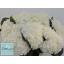 product/img.floraplaza.nl/123465-60-LIVE_fotos-0xC55C71EA64D295323C9DA91ACA151B4C6533272B.jpg