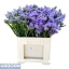 product/img.floraplaza.nl/123511-60-LIVE_fotos-0x8CAA01D7C5CA678405B76635A09B3AB04957F7C5.jpg