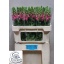 product/img.floraplaza.nl/123539-75-LIVE_fotos-0xC760D9283AABDAAC9E7FBA695C2CAAD26376BDFF.jpg