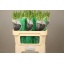 product/img.floraplaza.nl/123541-75-LIVE_fotos-0xD8F6B008FE023AD0471CC0C14CF00FF98331ECF0.jpg