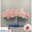 product/img.floraplaza.nl/123713-LIVE_fotos-0x19C8ECE76825FA4838CF345947574C3B18D0C65F.jpg