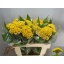 product/img.floraplaza.nl/123919-55-LIVE_fotos-0xDF2A0C137ED2254A7BF8ADE36C9B38D4FD072F70.jpg