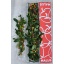 product/img.floraplaza.nl/123940-60-LIVE_fotos-0xB68152165EBB18B63E3698CAA8B5E01C78F11D0C.jpg