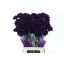 product/img.floraplaza.nl/124042-70-LIVE_fotos-0x2518883644474F43CD30B7F52FD44EE3E96056CB.jpg