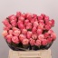 product/img.floraplaza.nl/124179-40-LIVE_fotos-0x64689D7CDF134227486CD9FB09071CAF5F60A068.jpg