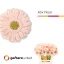 product/img.floraplaza.nl/124265-50-LIVE_fotos-0xA9F4184EAEACB864441B5BBF95097CA28813DC6A.jpg