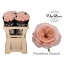 product/img.floraplaza.nl/124364-50-LIVE_fotos-0x4A3F3010E49E5B24E2BC81CD807CC6C1EF8307C6.jpg