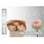 product/img.floraplaza.nl/124499-60-LIVE_fotos-0xEECCA0F3652FE737A5AB81A0B69D20407B2EFE4B.jpg