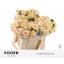 product/img.floraplaza.nl/124599-60-LIVE_fotos-0x4BF0AF4CCFF6D022872F7B22D4F2751B4F8E11FF.jpg