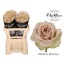 product/img.floraplaza.nl/124818-50-LIVE_fotos-0x7C0FBF8A1077B2265A0D11583DF102AE9772A44F.jpg
