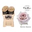 product/img.floraplaza.nl/124818-50-LIVE_fotos-0xB5187BDE9563F3A8EC30657E382ACAC494E5DF85.jpg