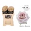 product/img.floraplaza.nl/124818-50-LIVE_fotos-0xF57B735588E17B1CBA08B4F52A043B9B64A8D514.jpg