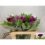product/img.floraplaza.nl/124999-55-LIVE_fotos-0xDC9B5CB1BD049986B5C8A6146B032D98D08C9EB2.jpg