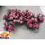 product/img.floraplaza.nl/125158-11-LIVE_fotos-0xE087F9E75C5EFC7DB6B815FDE8F7D671849FD3EA.jpg