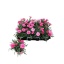 product/img.floraplaza.nl/125158-9-LIVE_fotos-0xD77C8C6986C09B2F764FB865BC535166EB9E3ABB.jpg