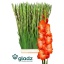 product/img.floraplaza.nl/125300-LIVE_fotos-0xA06D53585E3AEFA1F142B7A6495C74D5F945E1F2.jpg