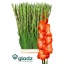 product/img.floraplaza.nl/125300-LIVE_fotos-0xF74D8B53165DA59CF065298DB1FC29802B39B216.jpg