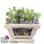 product/img.floraplaza.nl/125347-60-LIVE_fotos-0x9914A977B76E47680E45BFECE76DDFF65075F3A0.jpg