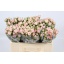 product/img.floraplaza.nl/125380-50-LIVE_fotos-0xDAFE675492B214A66F0361BD144D61068D062A7B.jpg