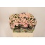 product/img.floraplaza.nl/125380-60-LIVE_fotos-0xC3A3CA558CDB16B5C64E6E60873EEA330C331D22.jpg