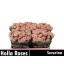 product/img.floraplaza.nl/125380-60-LIVE_fotos-0xF1F1E4227C052790A5022D43584B966F255E621B.jpg