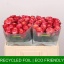 product/img.floraplaza.nl/125463-50-LIVE_fotos-0xF7722BF8A1FB7C5F3DCECDB2139812D2562A7D37.jpg