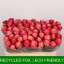 product/img.floraplaza.nl/125463-50-LIVE_fotos-0xF8A410B4E5AB082D708FDAEF49A1D93B56CC88F0.jpg