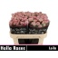 product/img.floraplaza.nl/125511-70-LIVE_fotos-0xEDB20A996960D92A2444040B11D7B00CE9AF53F1.jpg