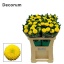 product/img.floraplaza.nl/125699-70-LIVE_fotos-0xF8B4EE25CE9BCDEBF57217C5CDB26B43FFF33616.jpg