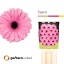 product/img.floraplaza.nl/125847-50-LIVE_fotos-0x1E68D49A12AC416CC3BA861E574E097D246C3C81.jpg