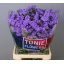 product/img.floraplaza.nl/125983-80-LIVE_fotos-0x4D1E2BD9ADC0F8B145C92BA9F973F269B7168F75.jpg