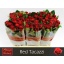 product/img.floraplaza.nl/125990-60-LIVE_fotos-0x62ABB30F3795F9717615F7FD957A2BBCF4D2BA28.jpg