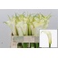 product/img.floraplaza.nl/126064-50-LIVE_fotos-0xB25241F6D9B28726319DF7C70D4CF2E3BE9DE62B.jpg