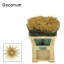product/img.floraplaza.nl/126101-75-LIVE_fotos-0xBC11702B31358A204EEF72775BABCC2E09B68AF4.jpg