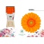 product/img.floraplaza.nl/126124-50-LIVE_fotos-0x8B43B3FCAEFD1B66F9A74CAEEFA19C5A0962C3F1.jpg