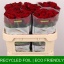 product/img.floraplaza.nl/126259-70-LIVE_fotos-0xCA023D2C532B32E634A1C160C4E668F6536BFEA1.jpg
